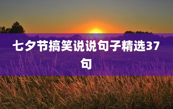 七夕节搞笑说说句子精选37句