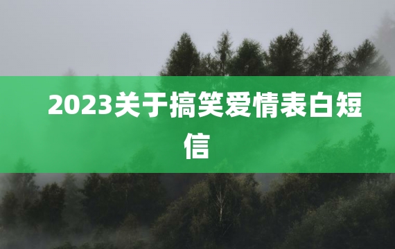 2023关于搞笑爱情表白短信