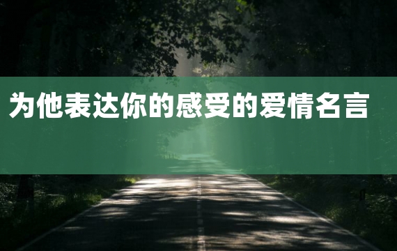 为他表达你的感受的爱情名言