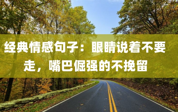 经典情感句子：眼睛说着不要走，嘴巴倔强的不挽留