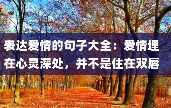 表达爱情的句子大全：爱情埋在心灵深处，并不是住在双唇之间