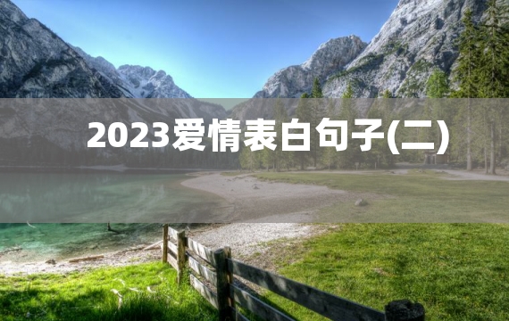 2023爱情表白句子(二)