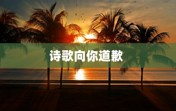 诗歌向你道歉