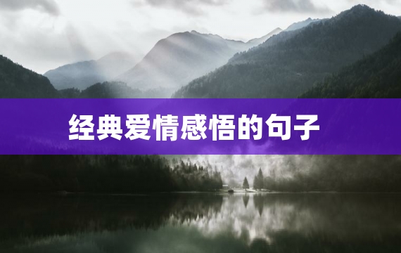 经典爱情感悟的句子