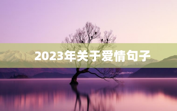 2023年关于爱情句子