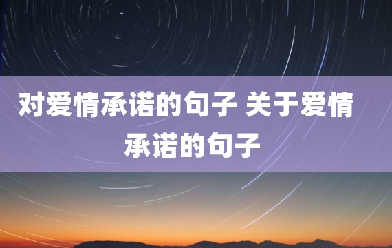 对爱情承诺的句子 关于爱情承诺的句子