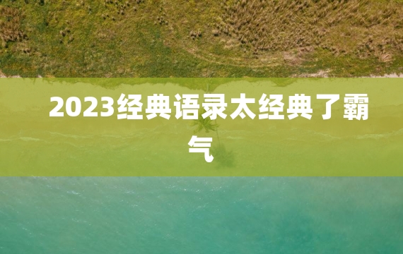 2023经典语录太经典了霸气