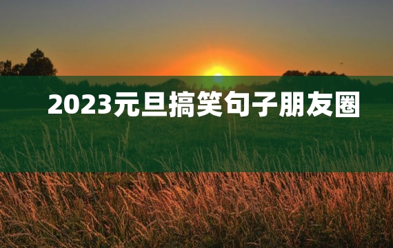 2023元旦搞笑句子朋友圈