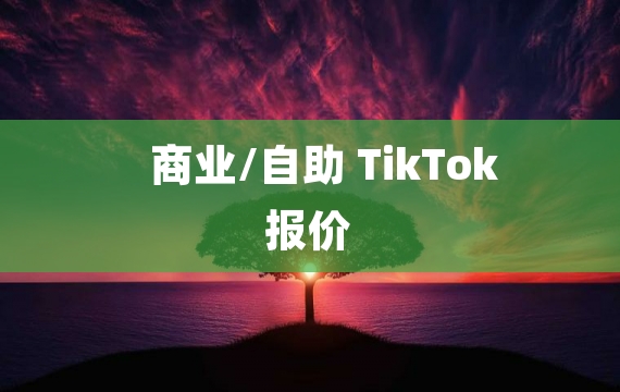 商业/自助 TikTok 报价