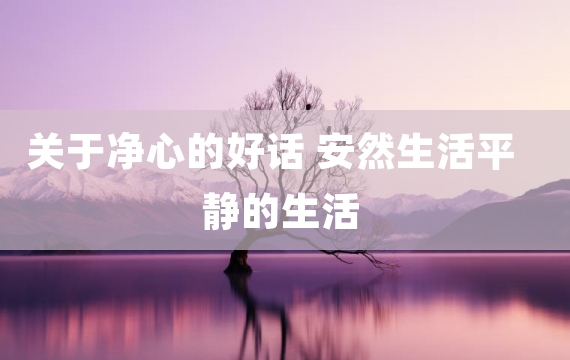 关于净心的好话 安然生活平静的生活