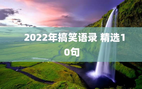 2022年搞笑语录 精选10句