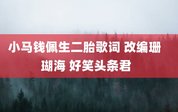 小马钱佩生二胎歌词 改编珊瑚海 好笑头条君