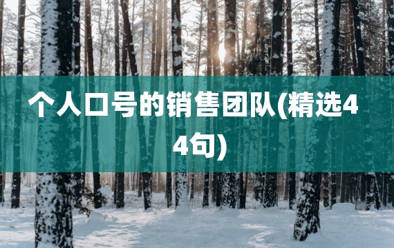 个人口号的销售团队(精选44句)