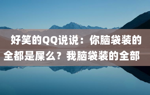 好笑的QQ说说：你脑袋装的全都是屎么？我脑袋装的全部都是你！