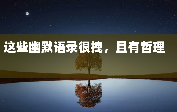 这些幽默语录很拽，且有哲理