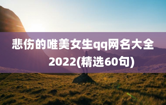 悲伤的唯美女生qq网名大全2022(精选60句)