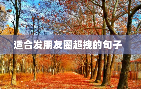 适合发朋友圈超拽的句子