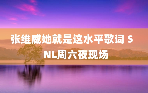 张维威她就是这水平歌词 SNL周六夜现场