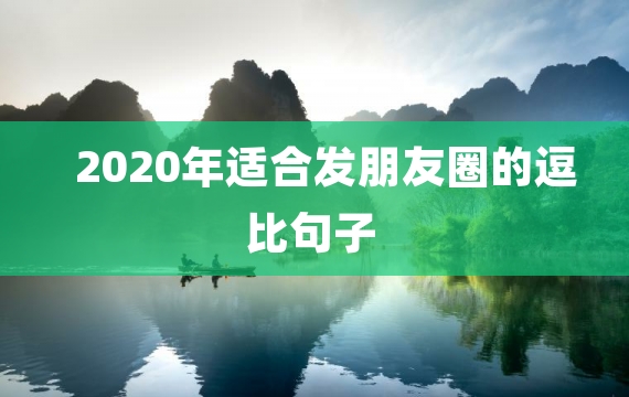 2020年适合发朋友圈的逗比句子