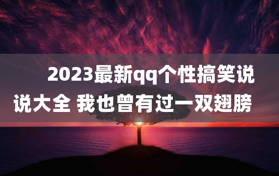 2023最新qq个性搞笑说说大全 我也曾有过一双翅膀