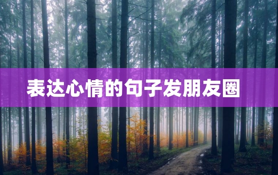 表达心情的句子发朋友圈