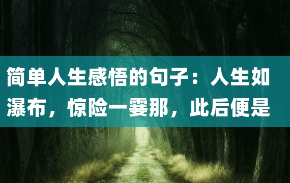 简单人生感悟的句子：人生如瀑布，惊险一霎那，此后便是平坦的前途