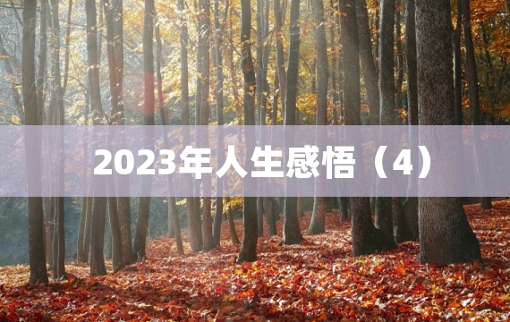 2023年人生感悟（4）