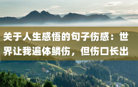 关于人生感悟的句子伤感：世界让我遍体鳞伤，但伤口长出的却是翅膀