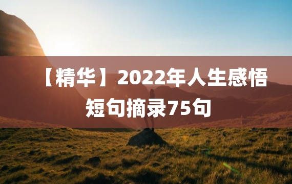 【精华】2022年人生感悟短句摘录75句