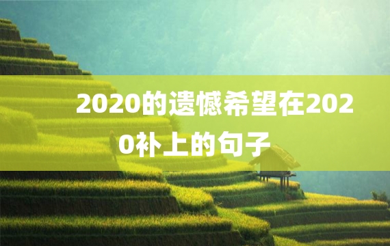 2020的遗憾希望在2020补上的句子