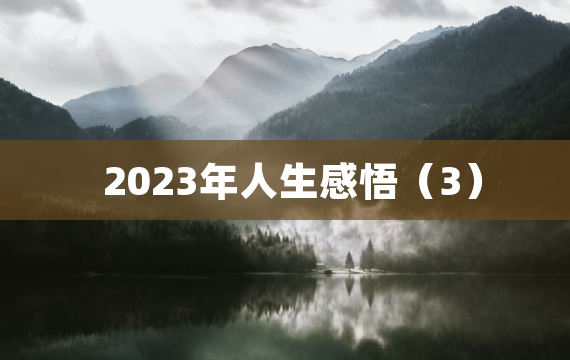 2023年人生感悟（3）