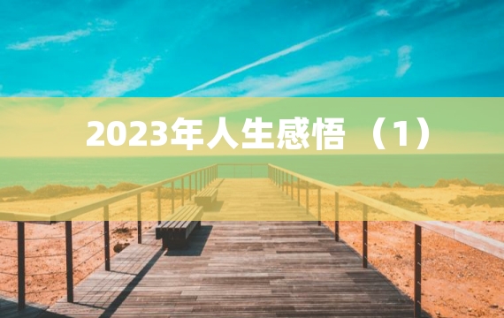 2023年人生感悟 （1）