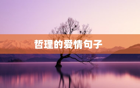 哲理的爱情句子