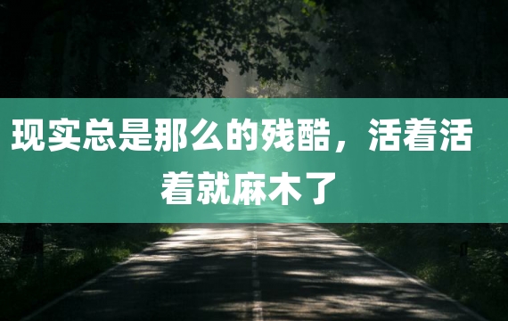 现实总是那么的残酷，活着活着就麻木了
