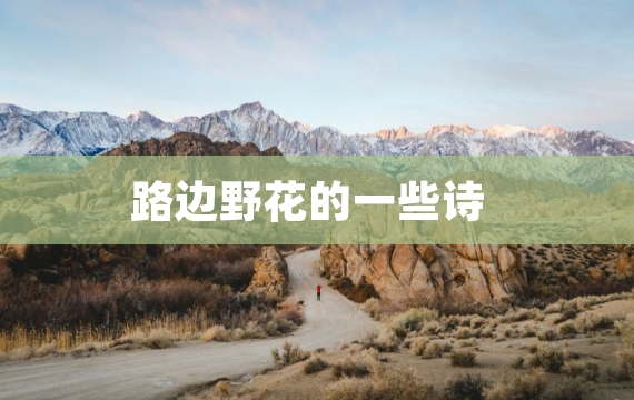 路边野花的一些诗