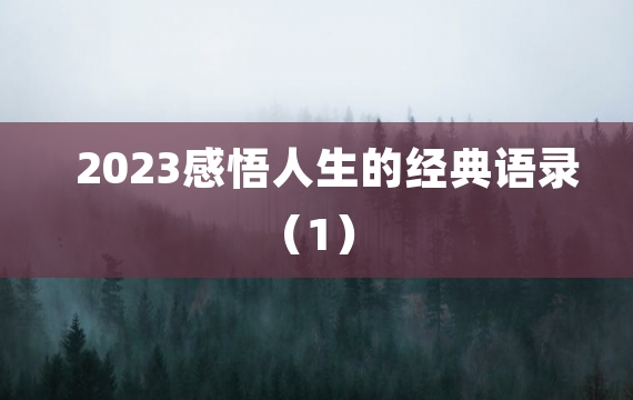 2023感悟人生的经典语录（1）