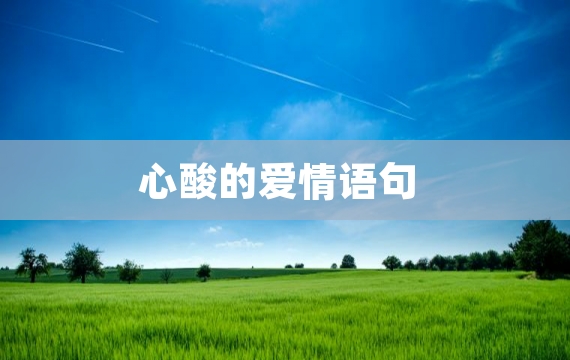 心酸的爱情语句