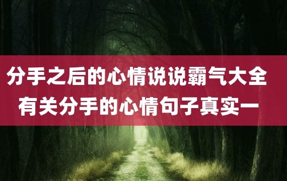 分手之后的心情说说霸气大全 有关分手的心情句子真实一点的