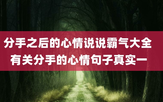 分手之后的心情说说霸气大全 有关分手的心情句子真实一点的