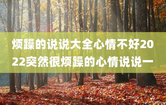 烦躁的说说大全心情不好2022突然很烦躁的心情说说一句话