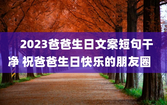 2023爸爸生日文案短句干净 祝爸爸生日快乐的朋友圈