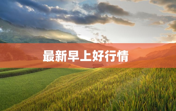 最新早上好行情
