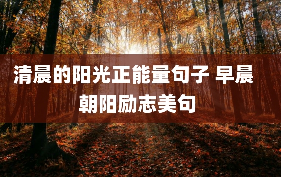 清晨的阳光正能量句子 早晨朝阳励志美句