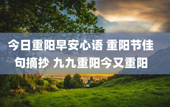 今日重阳早安心语 重阳节佳句摘抄 九九重阳今又重阳