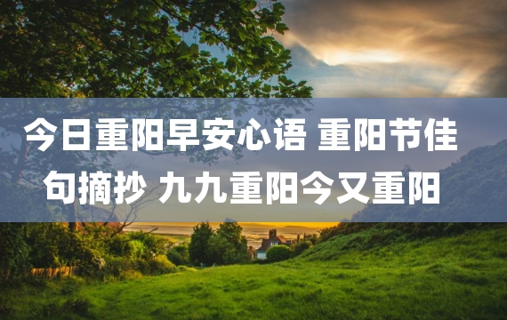 今日重阳早安心语 重阳节佳句摘抄 九九重阳今又重阳