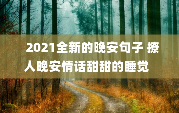 2021全新的晚安句子 撩人晚安情话甜甜的睡觉