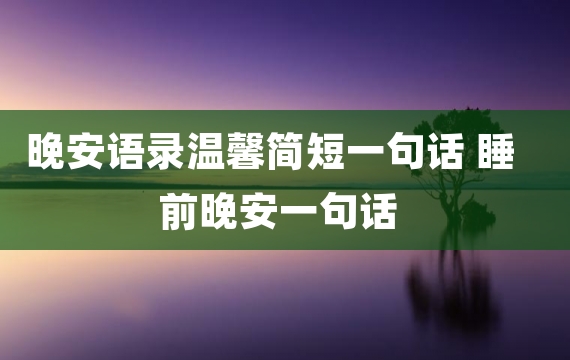 晚安语录温馨简短一句话 睡前晚安一句话