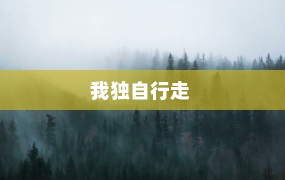 我独自行走