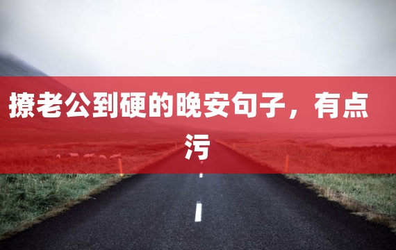 撩老公到硬的晚安句子，有点污