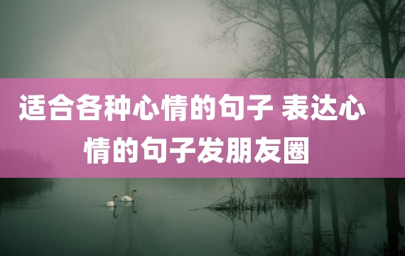 适合各种心情的句子 表达心情的句子发朋友圈